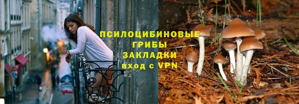 дживик Алексеевка