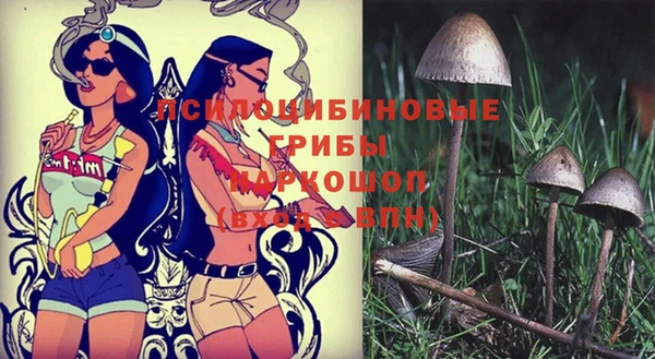 дживик Алексеевка