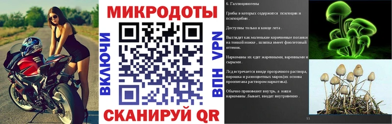 Галлюциногенные грибы Psilocybe  закладки  Белоозёрский 