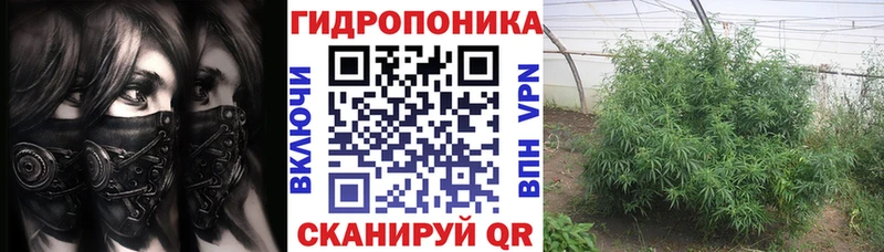 Каннабис Bruce Banner  где найти наркотики  Белоозёрский 