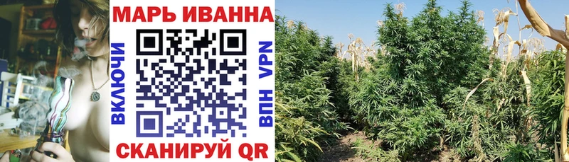 Бошки Шишки White Widow Белоозёрский